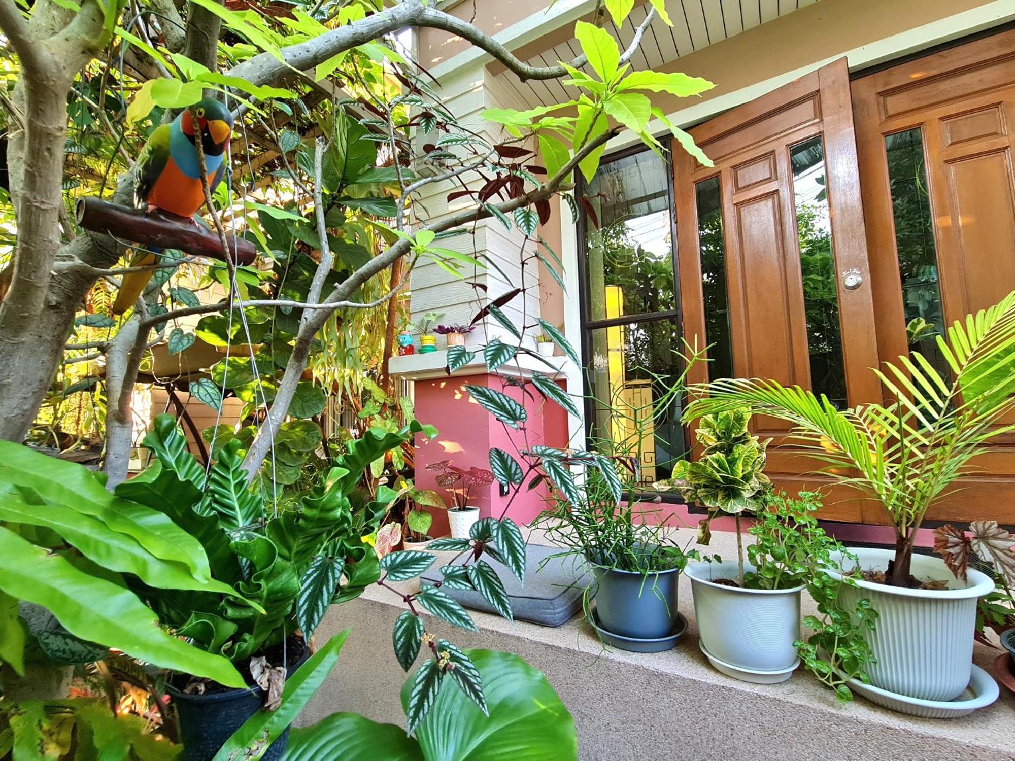 ベッド アンド テラス ゲストハウス チェンマイ チエンマイ 部屋 写真
